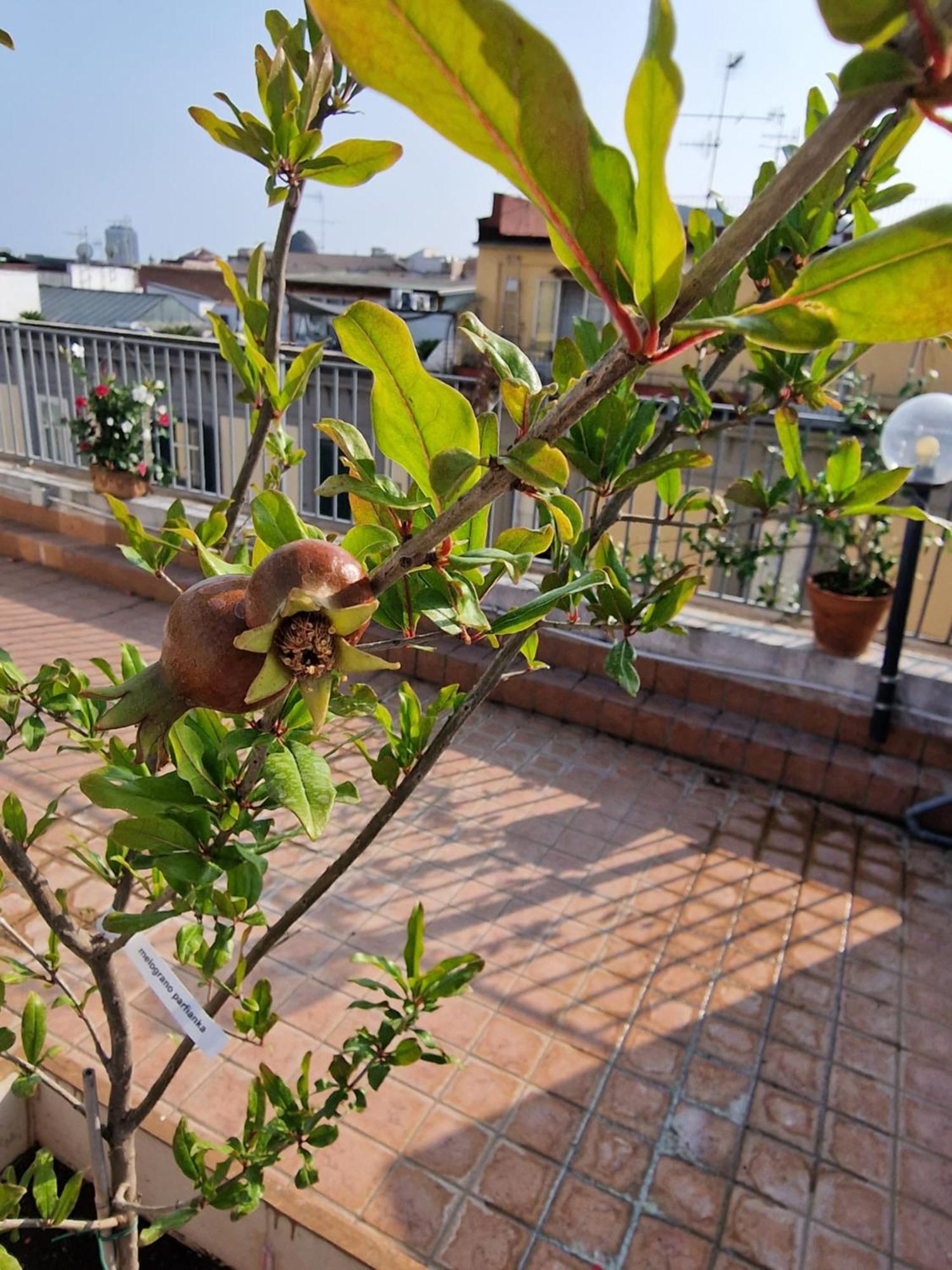 Hotel La Terrazza Delle Fate à Naples Extérieur photo